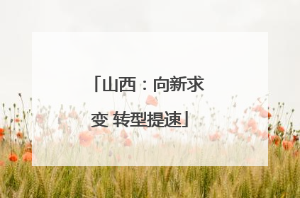山西：向新求变 转型提速