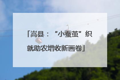 嵩县：“小蚕茧”织就助农增收新画卷