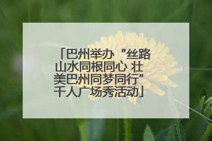 巴州举办“丝路山水同根同心 壮美巴州同梦同行”千人广场秀活动