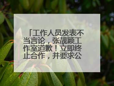 工作人员发表不当言论，张靓颖工作室道歉！立即终止合作，并要求公司严肃处理