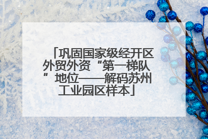 巩固国家级经开区外贸外资“第一梯队”地位——解码苏州工业园区样本
