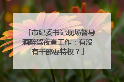 市纪委书记现场督导酒醉驾夜查工作：有没有干部耍特权？