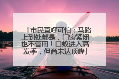 市民直呼可怕：马路上到处都是，门窗紧闭也不管用！白蚁进入高发季，但尚未达顶峰