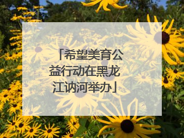 希望美育公益行动在黑龙江讷河举办