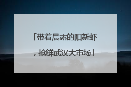 带着晨露的阳新虾，抢鲜武汉大市场