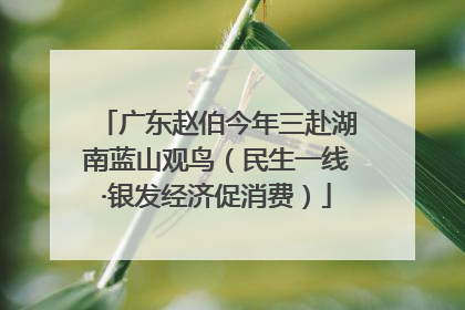 广东赵伯今年三赴湖南蓝山观鸟（民生一线·银发经济促消费）