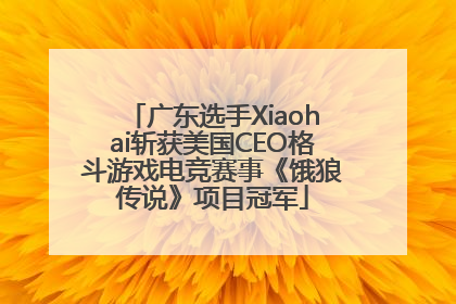 广东选手Xiaohai斩获美国CEO格斗游戏电竞赛事《饿狼传说》项目冠军