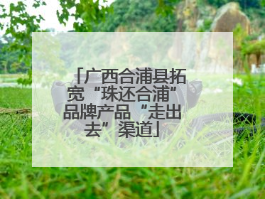 广西合浦县拓宽“珠还合浦”品牌产品“走出去”渠道