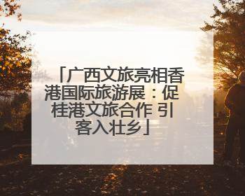 广西文旅亮相香港国际旅游展：促桂港文旅合作 引客入壮乡