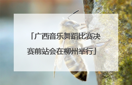 广西音乐舞蹈比赛决赛前站会在柳州举行
