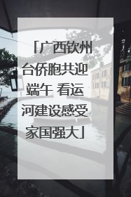 广西钦州台侨胞共迎端午 看运河建设感受家国强大
