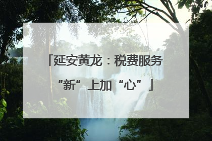 延安黄龙：税费服务“新”上加“心”
