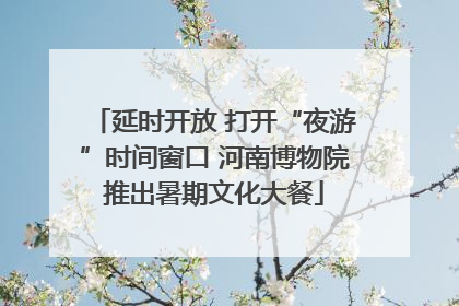 延时开放 打开“夜游”时间窗口 河南博物院推出暑期文化大餐