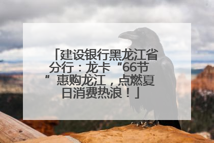 建设银行黑龙江省分行：龙卡“66节”惠购龙江，点燃夏日消费热浪！