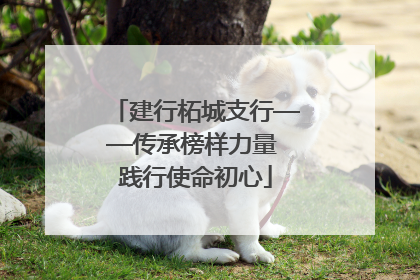 建行柘城支行——传承榜样力量 践行使命初心