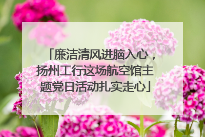 廉洁清风进脑入心，扬州工行这场航空馆主题党日活动扎实走心