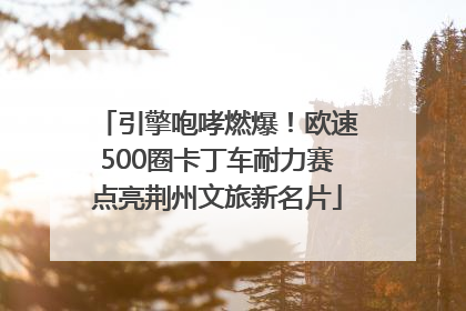 引擎咆哮燃爆！欧速500圈卡丁车耐力赛点亮荆州文旅新名片