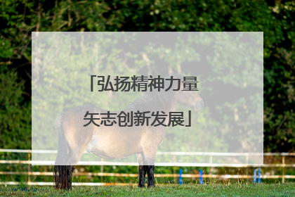 弘扬精神力量 矢志创新发展