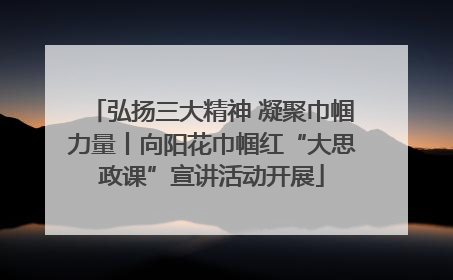 弘扬三大精神 凝聚巾帼力量丨向阳花巾帼红“大思政课”宣讲活动开展