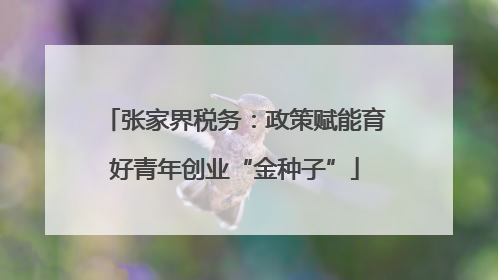 张家界税务：政策赋能育好青年创业“金种子”