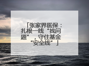 张家界医保：扎根一线“找问题”，守住基金“安全线”