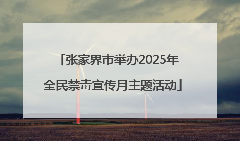 张家界市举办2025年全民禁毒宣传月主题活动