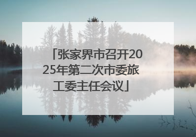 张家界市召开2025年第二次市委旅工委主任会议