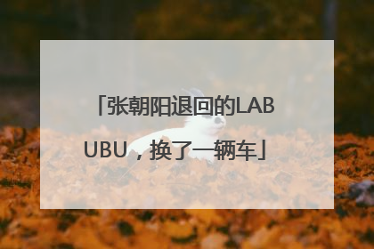 张朝阳退回的LABUBU，换了一辆车