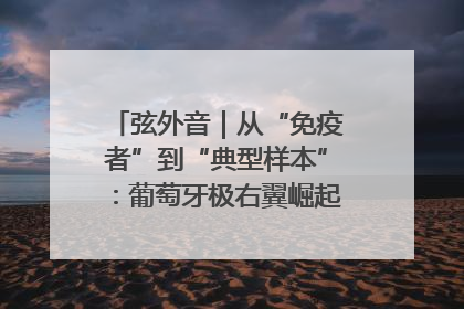 弦外音｜从“免疫者”到“典型样本”：葡萄牙极右翼崛起背后的欧洲困局