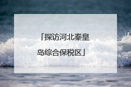 探访河北秦皇岛综合保税区