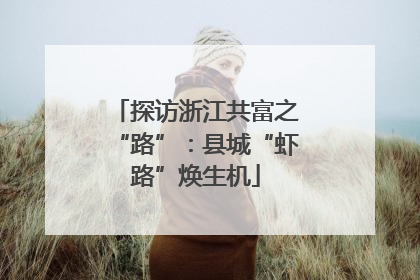 探访浙江共富之“路”：县城“虾路”焕生机