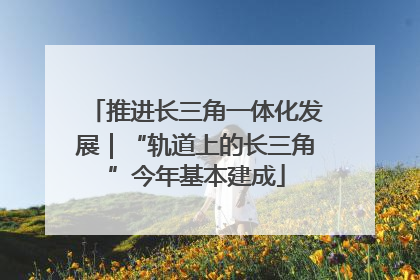 推进长三角一体化发展｜“轨道上的长三角”今年基本建成