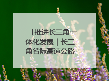 推进长三角一体化发展｜长三角省际高速公路网加快成型