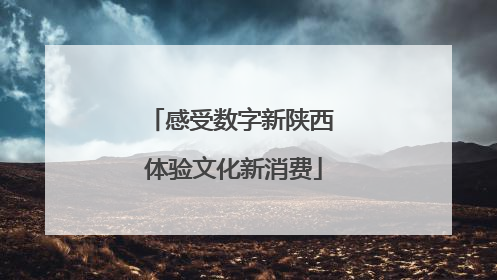 感受数字新陕西 体验文化新消费