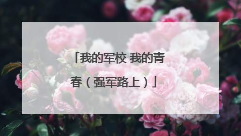 我的军校 我的青春（强军路上）