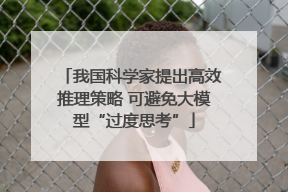 我国科学家提出高效推理策略 可避免大模型“过度思考”