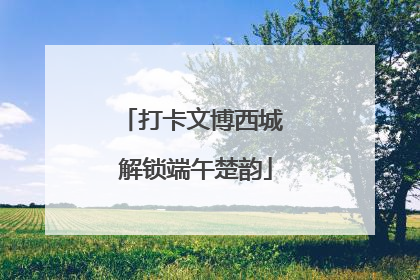 打卡文博西城 解锁端午楚韵