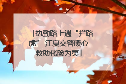 执勤路上遇“拦路虎” 江夏交警暖心救助化险为夷