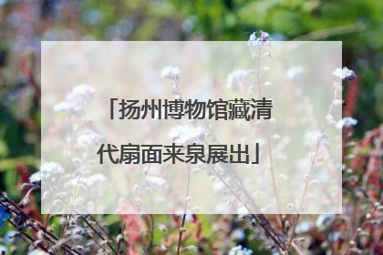扬州博物馆藏清代扇面来泉展出