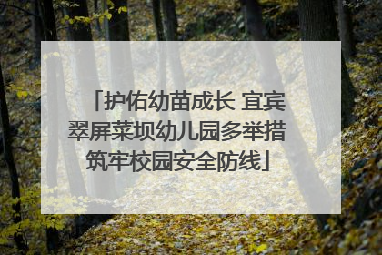 护佑幼苗成长 宜宾翠屏菜坝幼儿园多举措筑牢校园安全防线