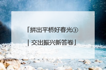 拼出平桥好春光③｜交出振兴新答卷