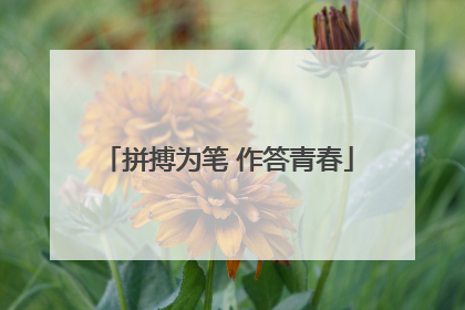 拼搏为笔 作答青春