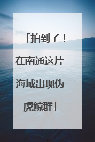 拍到了！在南通这片海域出现伪虎鲸群