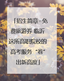 招生简章=免费旅游券 临沂这所高职院校的高考服务“卷”出新高度
