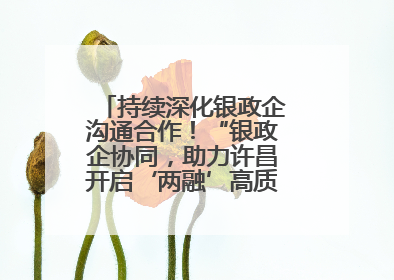 持续深化银政企沟通合作！“银政企协同，助力许昌开启‘两融’高质量发展新征程”融资对接会举行