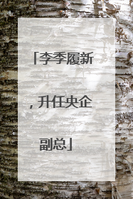 李季履新，升任央企副总