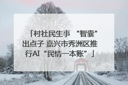 村社民生事 “智囊”出点子 嘉兴市秀洲区推行AI“民情一本账”