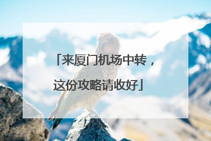 来厦门机场中转，这份攻略请收好