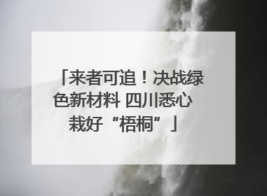 来者可追！决战绿色新材料 四川悉心栽好“梧桐”