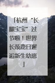 杭州“长腿宝宝”过节啦！世界长颈鹿日邂逅新生幼崽